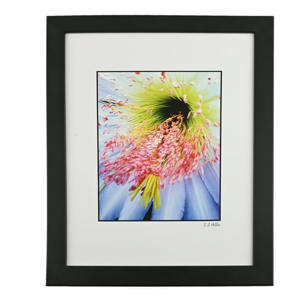 Home Wall Decor Flower Shop Photo Home Decor Downloadable Art Photo Art Digital Download